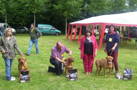 Cl�opatre parmis les plus beaux chiens de la r�gionale d'�levage.